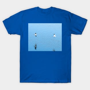 American Avocet Inflight Minimalism by Debra Martz T-Shirt